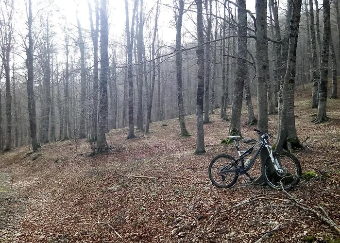 فندق Casa-albergo Tiroasegno